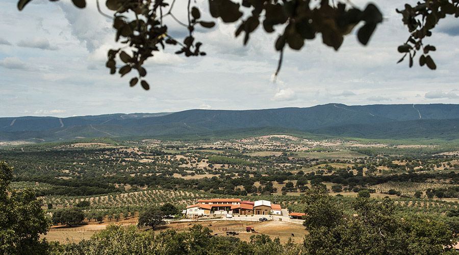 nuevo hotel rural habitat ciguena negra